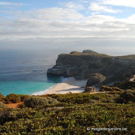 Cape of Good Hope