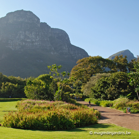 Kirstenbosch National Botanical Garden