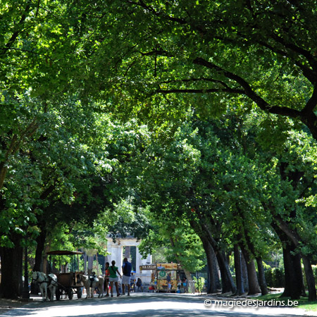 Roma: Parc et Jardins de la Villa Borghese