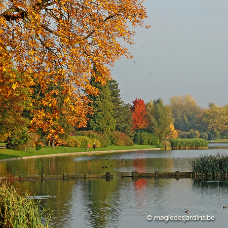 Parc de Tervuren