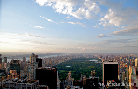 Central Park & Fifth Avenue à Manhattan