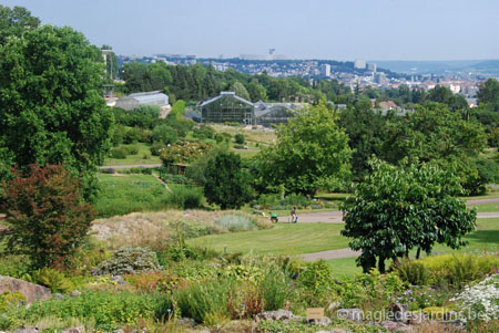 Jardin Botanique du Montet (Nancy)
