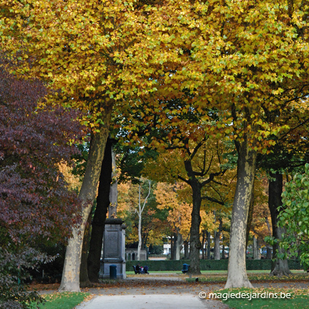 Parc du Cinquantenaire