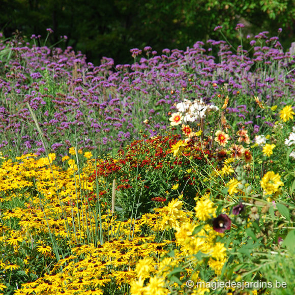 Après un été pluvieux: maitrisez votre jardin