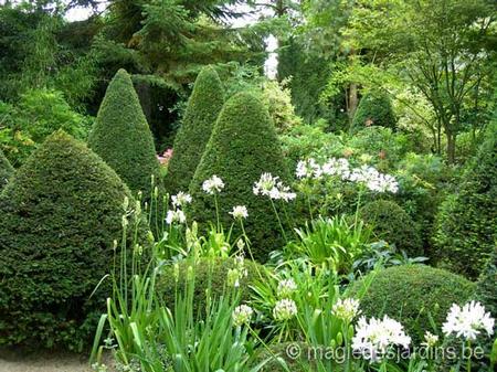 Les Jardins Agapanthe