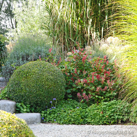 Le Feng Shui des jardins