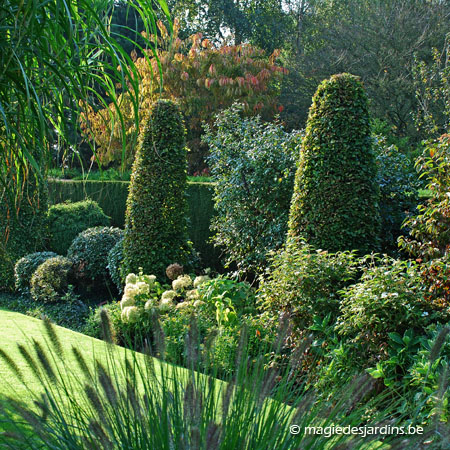 Choisir les bons volumes de plantes