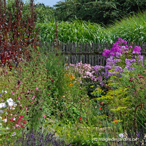 La permaculture au jardin