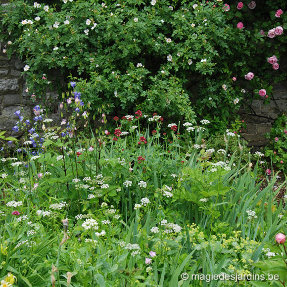 Un jardin sain sans pesticides