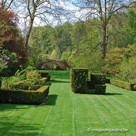 Semer un gazon, Infos Jardins