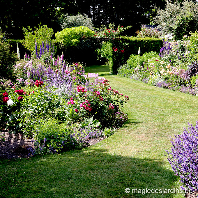 RECUPERER VOTRE JARDIN Comment récupérer votre jardin après les vacances d’été ?