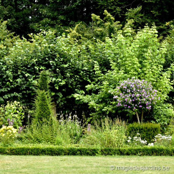 Comment récupérer votre jardin après les vacances d’été