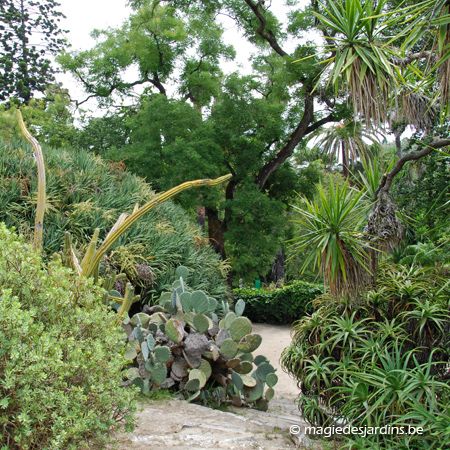 Lisbonne: Jardin Botanique (Jardim botânico da Universidade de Lisboa)