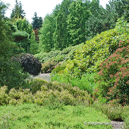 Arboretum de Bokrijk