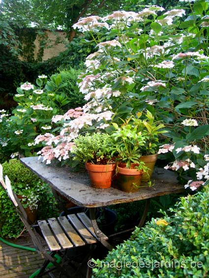 Un petit jardin de ville à Bruxelles
